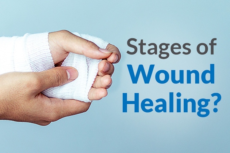Wound Healing Steps